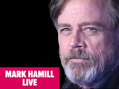 Mark Hamill Panel