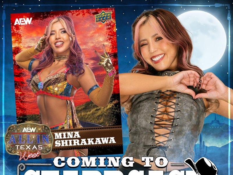 Mina Shirakawa