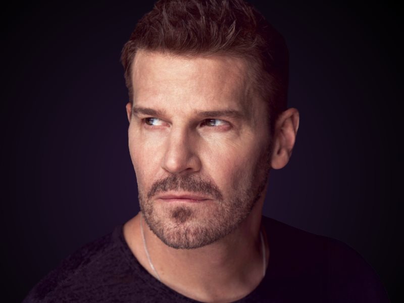 David Boreanaz