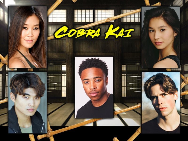TeamUp - COBRA KAI