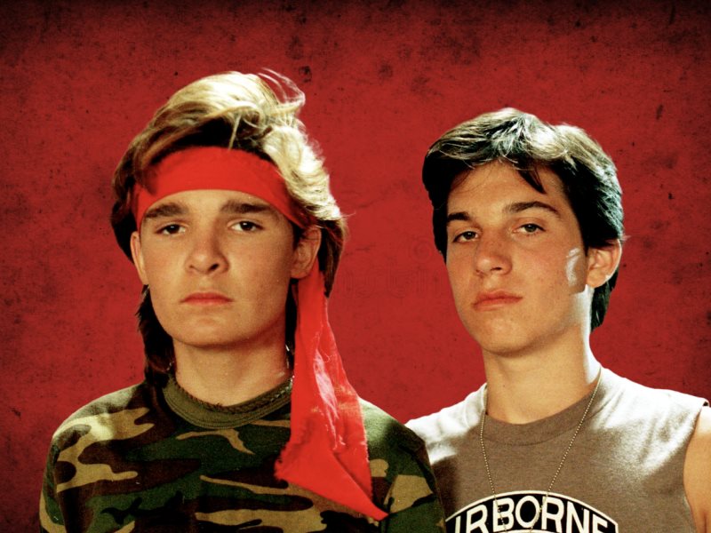 TeamUp - The Lost Boys: The Frog Brothers